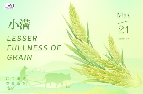 Common Rail Diesel Injector - Product News - Page 3