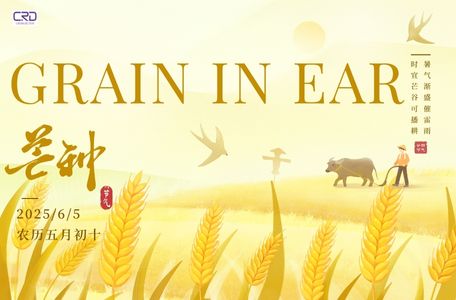 Common Rail Diesel Injector - Product News - Page 2