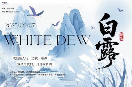 Common Rail Diesel Injector - Product News