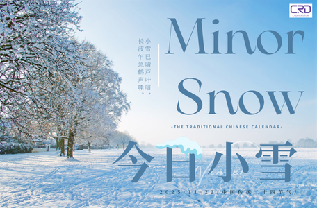 Common Rail Diesel Injector 28599713 CR Series China Made New Video