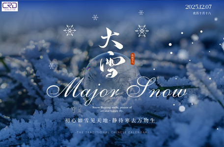 Common Rail Diesel Injector 28599713 CR Series China Made New Video